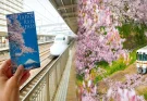 How to Travel Around Japan with a Japan Rail Pass